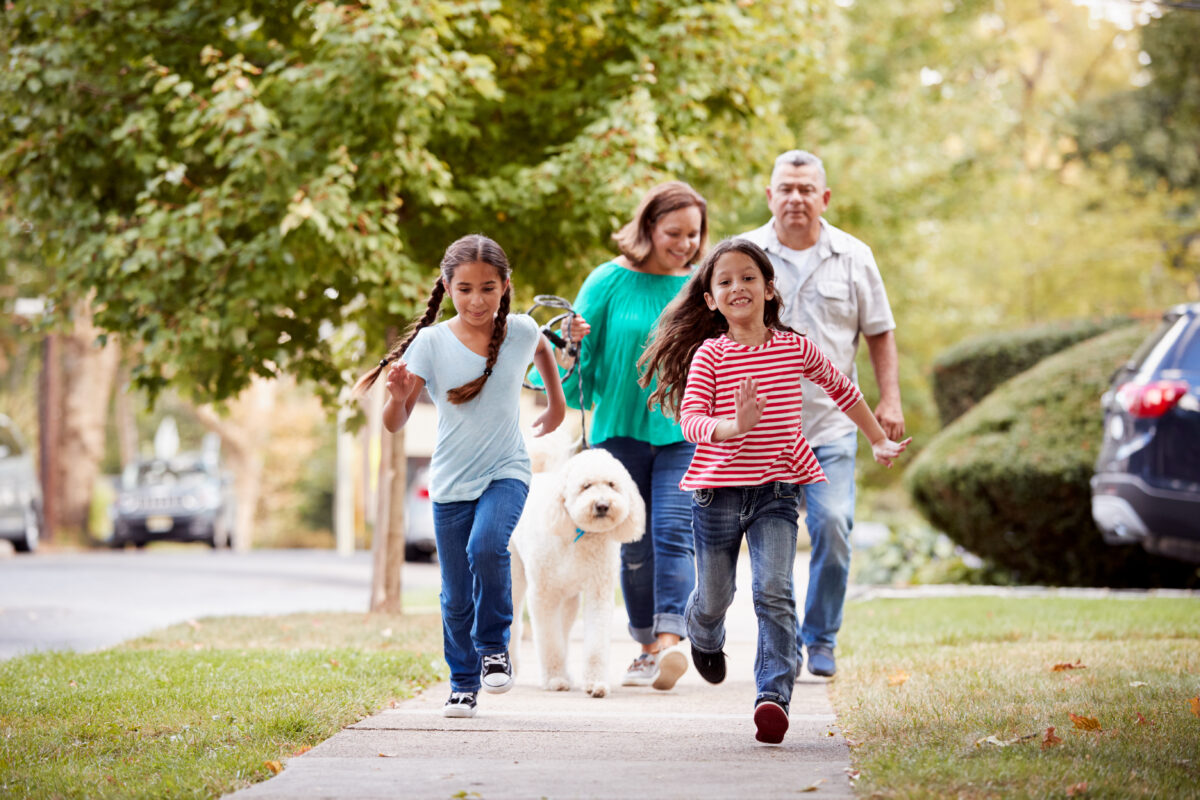 Grandparents,And,Granddaughters,Walking,Dog,Along,Street
